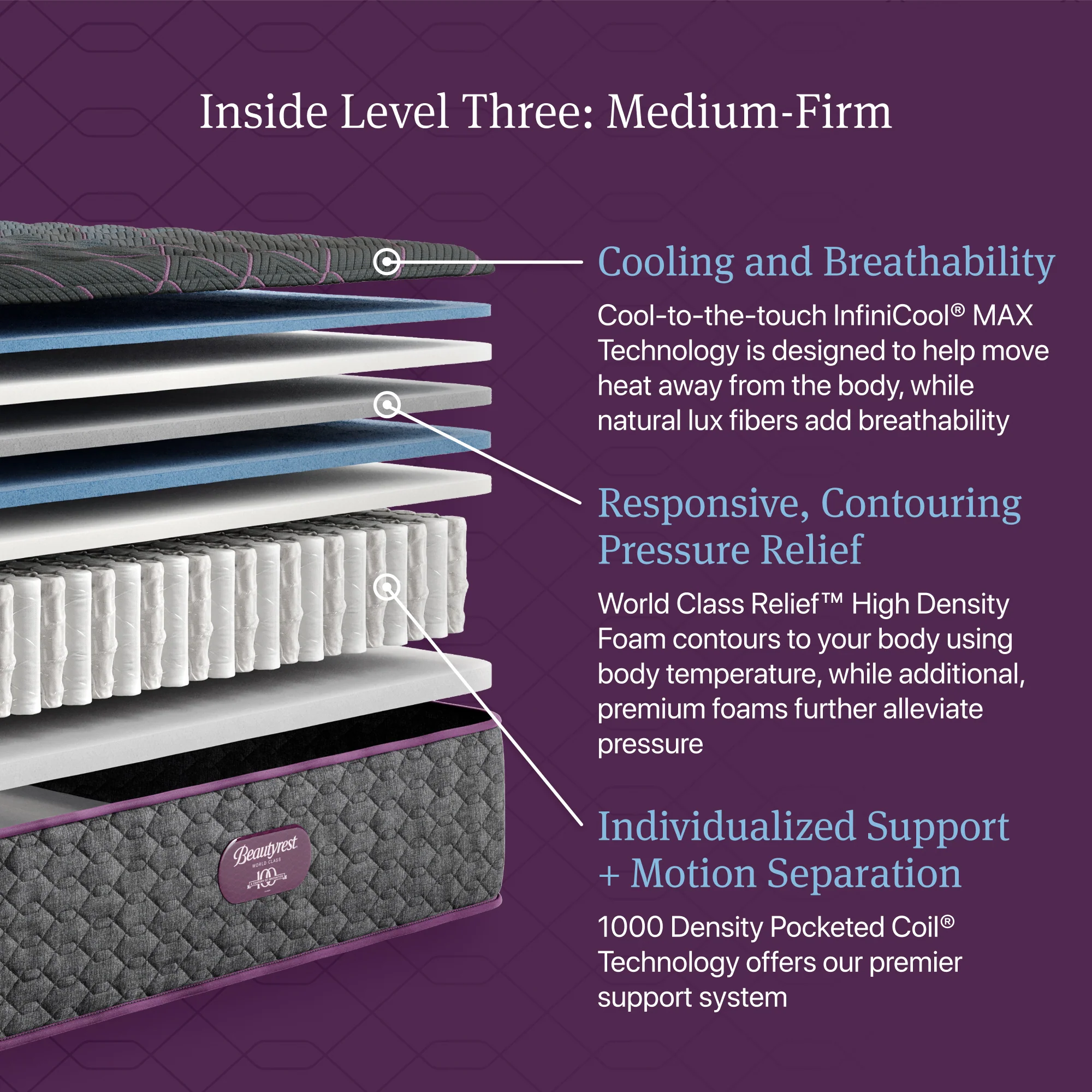 Beautyrest World Class Level Three Medium Firm - Image 3
