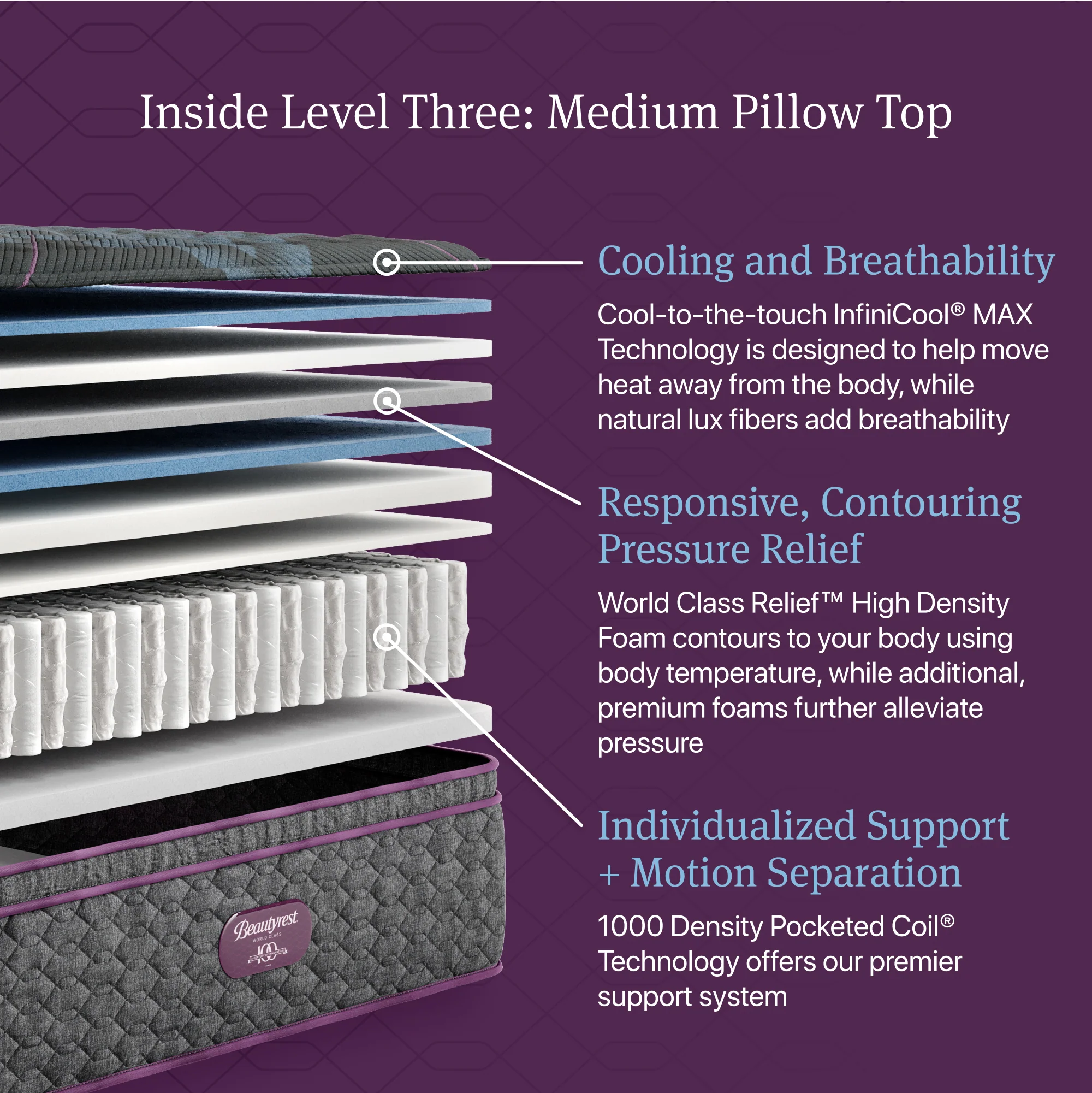 Beautyrest World Class Level Three Medium Pillow Top - Image 4