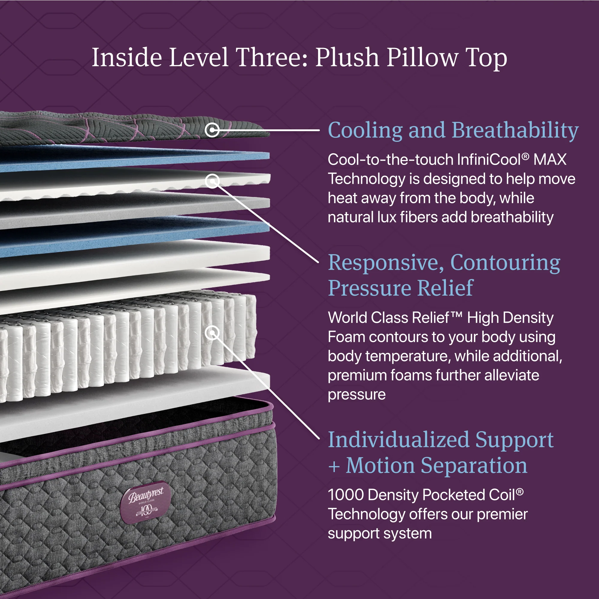 Beautyrest World Class Level Three Plush Pillow Top - Image 4
